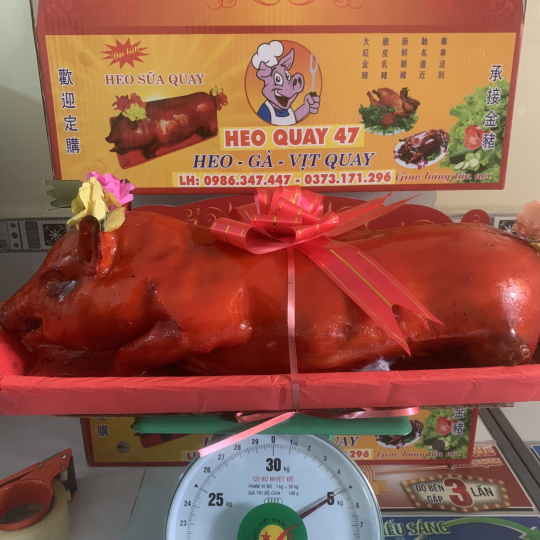 Heo Quay Cúng Gia Tiên